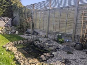 Pond- click for photo gallery